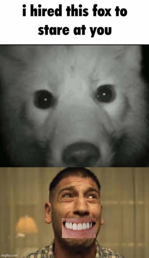 image tagged in i hired this fox to stare at you,punisher no no no no no | made w/ Imgflip meme maker