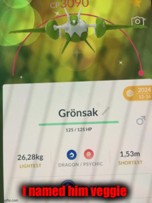 i named him veggie | made w/ Imgflip meme maker