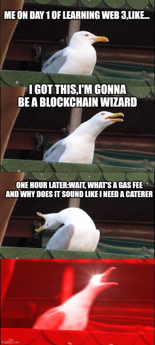 Inhaling Seagull | ME ON DAY 1 OF LEARNING WEB 3,LIKE... I GOT THIS,I'M GONNA BE A BLOCKCHAIN WIZARD; ONE HOUR LATER:WAIT, WHAT'S A GAS FEE AND WHY DOES IT SOUND LIKE I NEED A CATERER | image tagged in memes,inhaling seagull | made w/ Imgflip meme maker