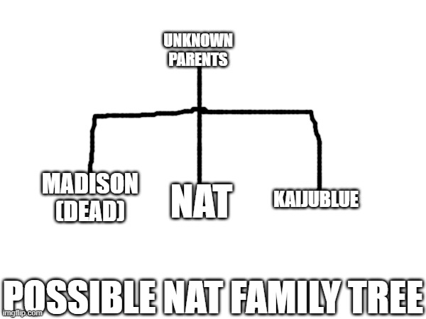 Built off Nat claiming Kaijublue is her brother along with the late user Madison | UNKNOWN PARENTS; NAT; MADISON (DEAD); KAIJUBLUE; POSSIBLE NAT FAMILY TREE | made w/ Imgflip meme maker