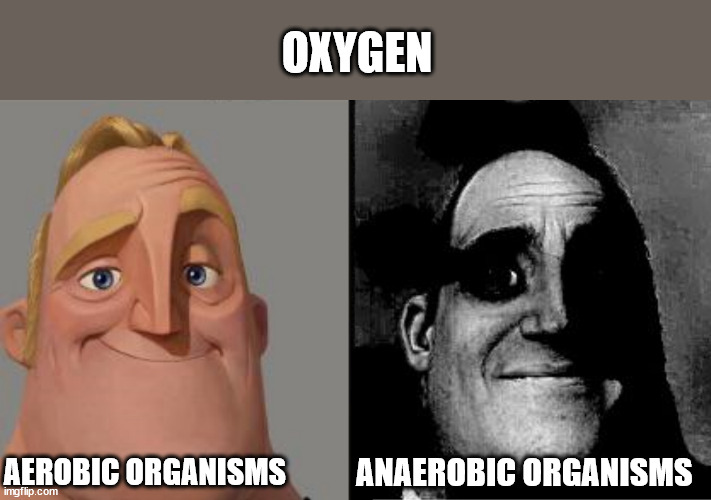 Oxygen | OXYGEN; AEROBIC ORGANISMS; ANAEROBIC ORGANISMS | image tagged in traumatized mr incredible,science,oxygen,bacteria | made w/ Imgflip meme maker