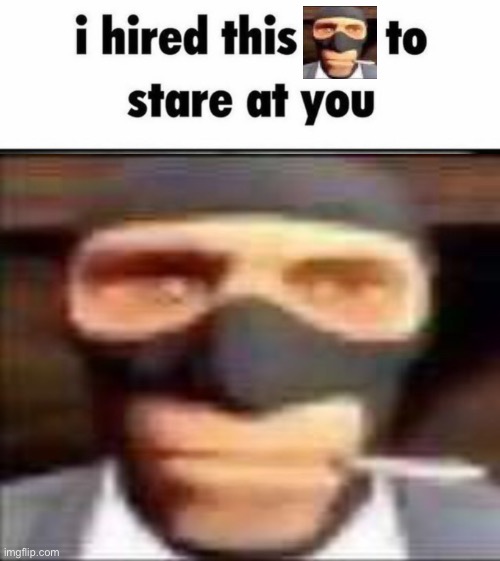 I hired this Fox to stare at you | image tagged in i hired this fox to stare at you | made w/ Imgflip meme maker