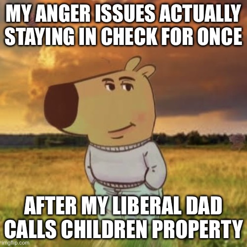 Chill guy | MY ANGER ISSUES ACTUALLY STAYING IN CHECK FOR ONCE; AFTER MY LIBERAL DAD CALLS CHILDREN PROPERTY | image tagged in chill guy | made w/ Imgflip meme maker