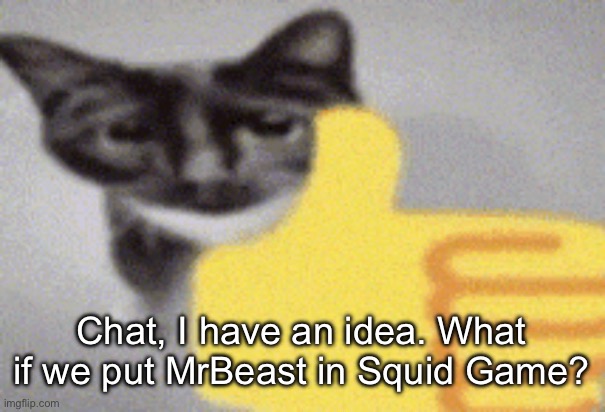 thumbs up cat | Chat, I have an idea. What if we put MrBeast in Squid Game? | image tagged in thumbs up cat | made w/ Imgflip meme maker