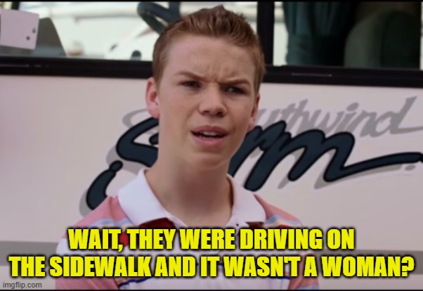 You Guys are Getting Paid | WAIT, THEY WERE DRIVING ON THE SIDEWALK AND IT WASN'T A WOMAN? | image tagged in you guys are getting paid | made w/ Imgflip meme maker
