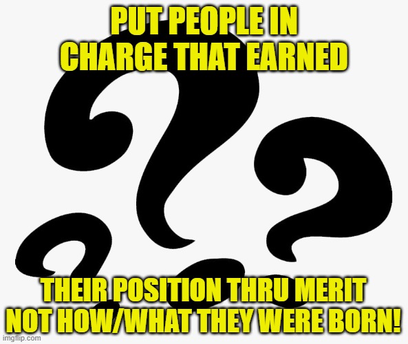 Question | PUT PEOPLE IN CHARGE THAT EARNED THEIR POSITION THRU MERIT NOT HOW/WHAT THEY WERE BORN! | image tagged in question | made w/ Imgflip meme maker