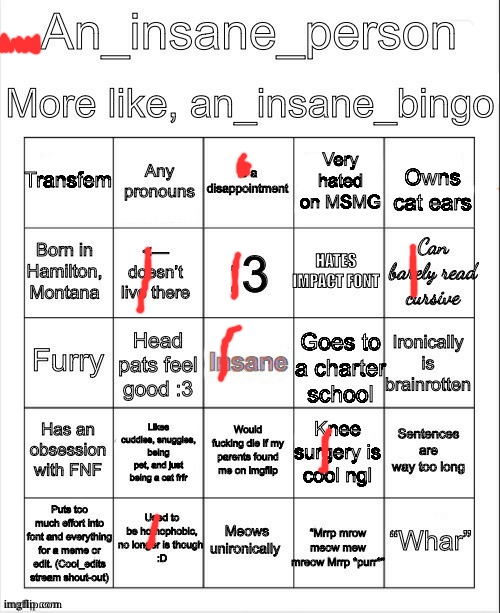 An insane bingo (new years day 2025) | image tagged in an insane bingo new years day 2025 | made w/ Imgflip meme maker