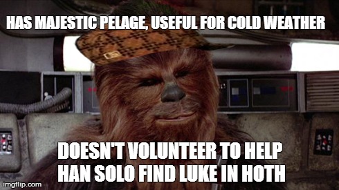 HAS MAJESTIC PELAGE, USEFUL FOR COLD WEATHER DOESN'T VOLUNTEER TO HELP HAN SOLO FIND LUKE IN HOTH | image tagged in scumbag chewbacca,scumbag,AdviceAnimals | made w/ Imgflip meme maker