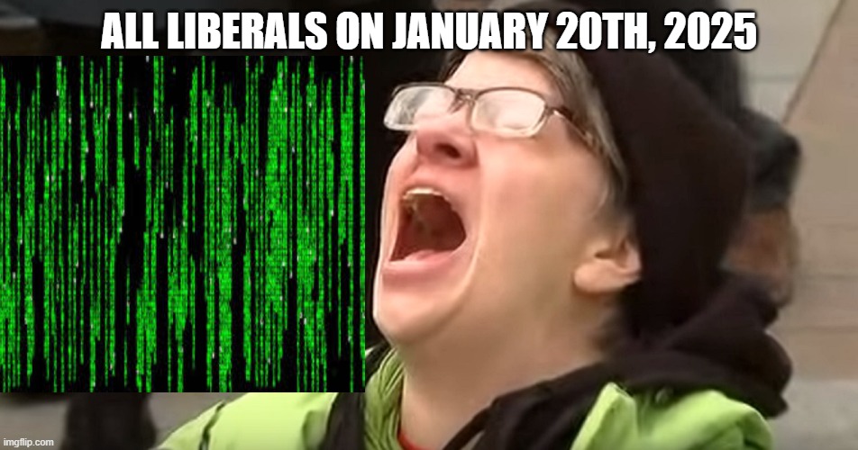 A liberal at Trump‘s inauguration ceremony | ALL LIBERALS ON JANUARY 20TH, 2025 | image tagged in liberal tears,liberals,liberal logic,stupid liberals,trump,funny | made w/ Imgflip meme maker