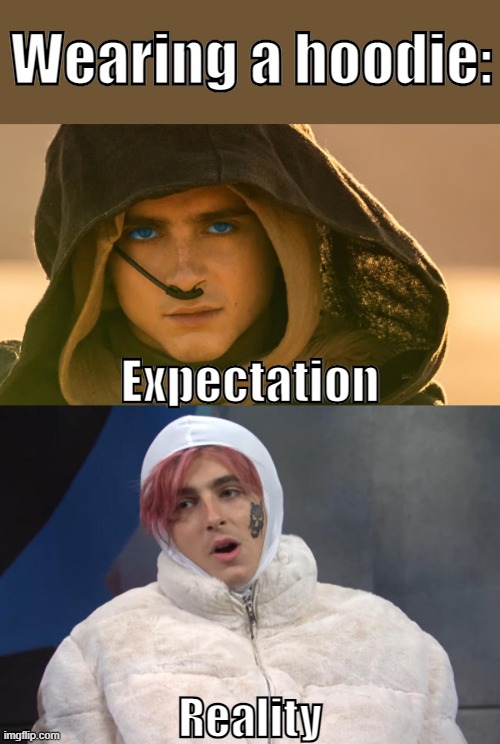 Happened to me more times than I can count | Wearing a hoodie:; Expectation; Reality | image tagged in dune,expectation vs reality | made w/ Imgflip meme maker