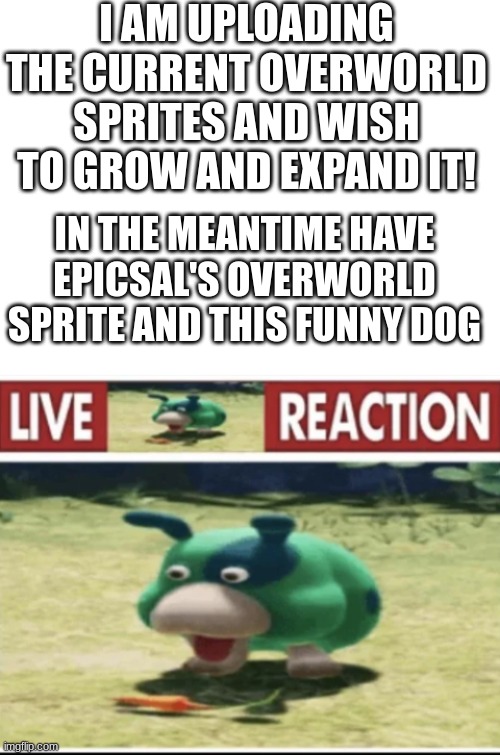 moss eat carrot | I AM UPLOADING THE CURRENT OVERWORLD SPRITES AND WISH TO GROW AND EXPAND IT! IN THE MEANTIME HAVE EPICSAL'S OVERWORLD SPRITE AND THIS FUNNY DOG | image tagged in blank white template,live moss reaction | made w/ Imgflip meme maker