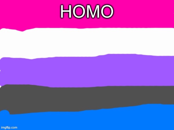 Genderfluid | HOMO | image tagged in genderfluid | made w/ Imgflip meme maker