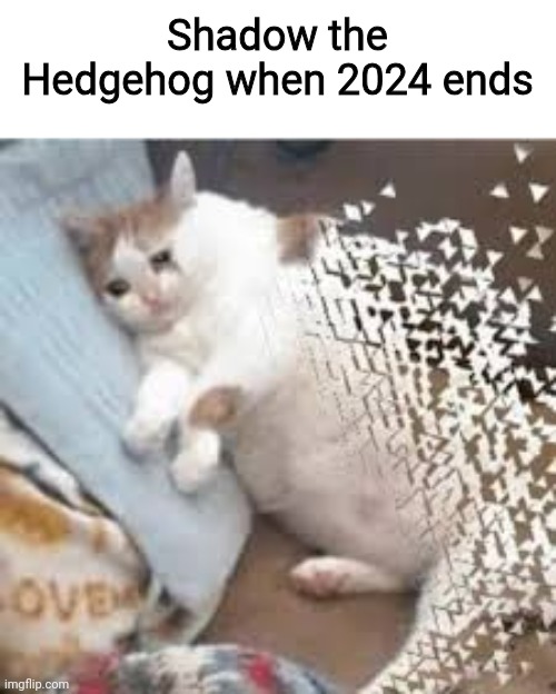 Just like Mario after his 35th anniversary | Shadow the Hedgehog when 2024 ends | image tagged in mr stark i don't feel so good,shadow the hedgehog,year of shadow,2024,2025,memes | made w/ Imgflip meme maker