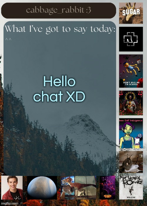 Mew | Hello chat XD | image tagged in cabbage_rabbit | made w/ Imgflip meme maker