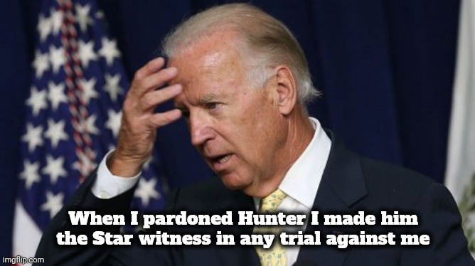 His stupidity knows no bounds | When I pardoned Hunter I made him the Star witness in any trial against me | image tagged in joe biden worries,hunter biden,fifth amendment,well yes but actually no,you can't handle the truth,have a nice day | made w/ Imgflip meme maker