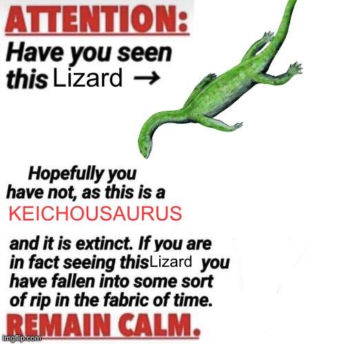 Keichousaurus | Lizard; KEICHOUSAURUS; Lizard | image tagged in attention have you seen this name | made w/ Imgflip meme maker