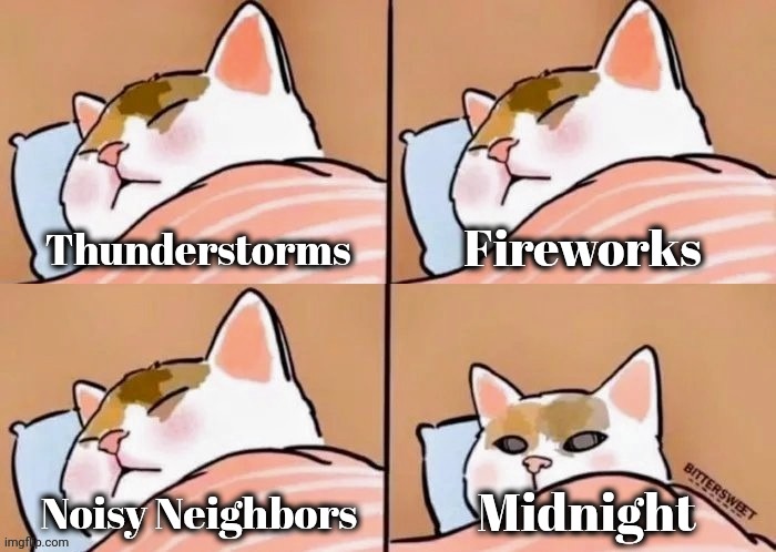 New Year's Eve in New York | Fireworks; Thunderstorms; Noisy Neighbors; Midnight | image tagged in wake up call,happy new year,new york city,party time,well yes but actually no,i'm tired boss | made w/ Imgflip meme maker