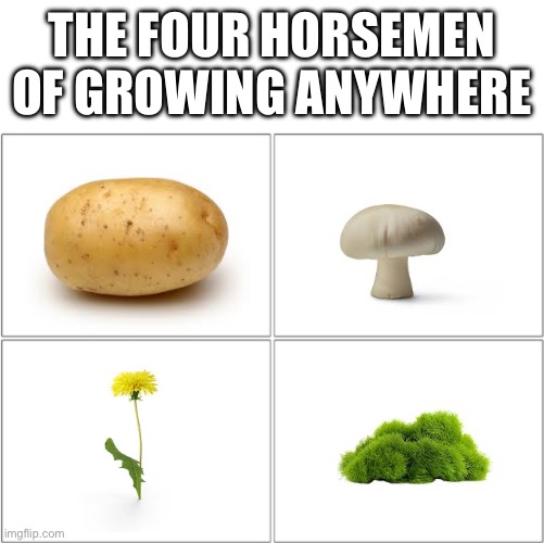 The 4 horsemen of | THE FOUR HORSEMEN OF GROWING ANYWHERE | image tagged in the 4 horsemen of | made w/ Imgflip meme maker