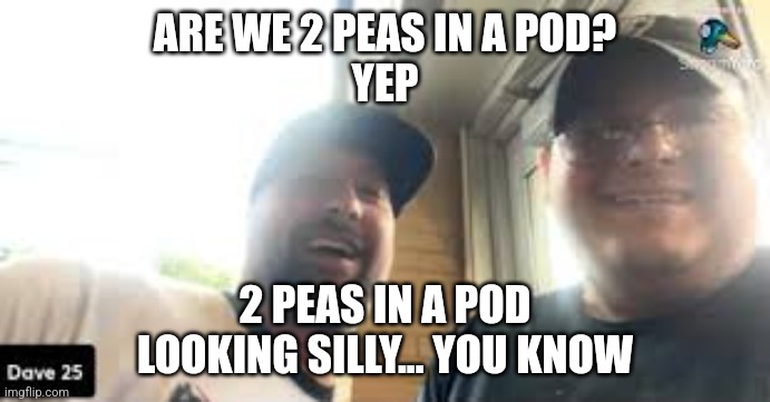 Dave Branca | ARE WE 2 PEAS IN A POD?
YEP; 2 PEAS IN A POD
LOOKING SILLY... YOU KNOW | image tagged in dave25,meme | made w/ Imgflip meme maker