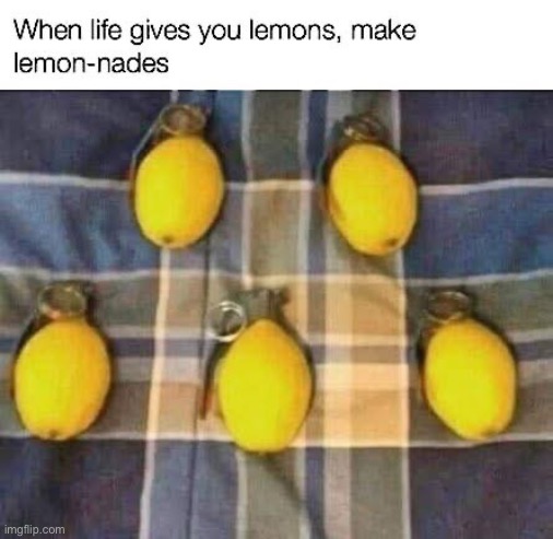 Lemons | image tagged in when life gives you lemons x,lemonade | made w/ Imgflip meme maker