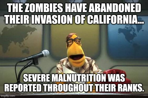 We Need to Build a Wall! (Along Nevada, Arizona, and maybe Oregon) | THE ZOMBIES HAVE ABANDONED THEIR INVASION OF CALIFORNIA... SEVERE MALNUTRITION WAS REPORTED THROUGHOUT THEIR RANKS. | image tagged in muppet news flash | made w/ Imgflip meme maker