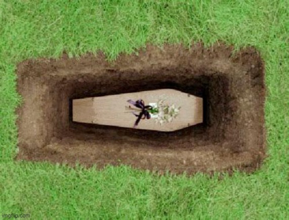 coffin | image tagged in coffin | made w/ Imgflip meme maker