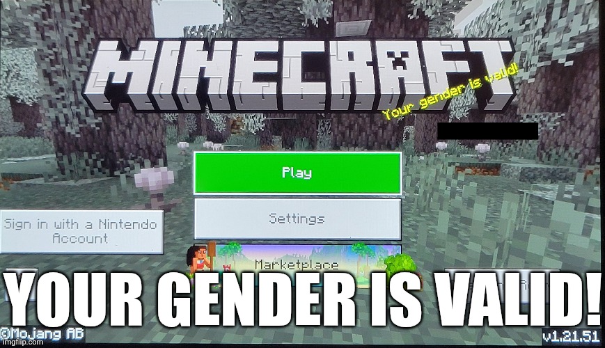 So does your sexuality :) | YOUR GENDER IS VALID! | image tagged in lgbtq,gender identity,minecraft | made w/ Imgflip meme maker