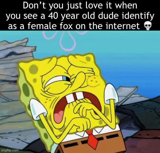 These people are born in the 80’s…. Like…. Bro… | Don’t you just love it when you see a 40 year old dude identify as a female fox on the internet 💀 | image tagged in grossed out spongebob | made w/ Imgflip meme maker