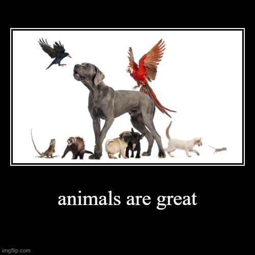 Animals are Great | animals are great | | image tagged in funny,demotivationals | made w/ Imgflip demotivational maker