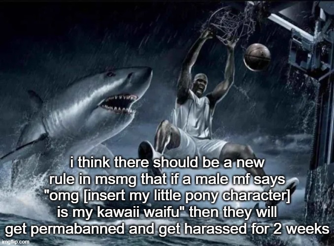 legendary slam dunk | i think there should be a new rule in msmg that if a male mf says "omg [insert my little pony character] is my kawaii waifu" then they will get permabanned and get harassed for 2 weeks | image tagged in legendary slam dunk | made w/ Imgflip meme maker