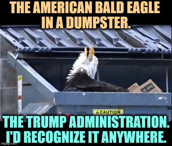 It's gonna be ugly. | THE AMERICAN BALD EAGLE 
IN A DUMPSTER. THE TRUMP ADMINISTRATION. I'D RECOGNIZE IT ANYWHERE. | image tagged in america,bald eagle,dumpster,trump,disaster,incompetence | made w/ Imgflip meme maker