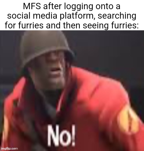 Tf2 no | MFS after logging onto a social media platform, searching for furries and then seeing furries: | image tagged in tf2 no | made w/ Imgflip meme maker