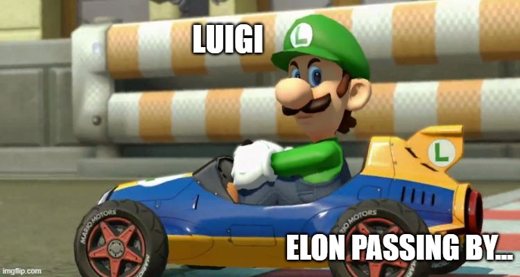 Luigi Death Stare | LUIGI; ELON PASSING BY... | image tagged in luigi death stare | made w/ Imgflip meme maker