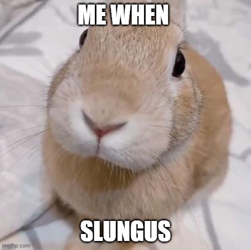 silly slungus silly | ME WHEN; SLUNGUS | image tagged in slungus | made w/ Imgflip meme maker