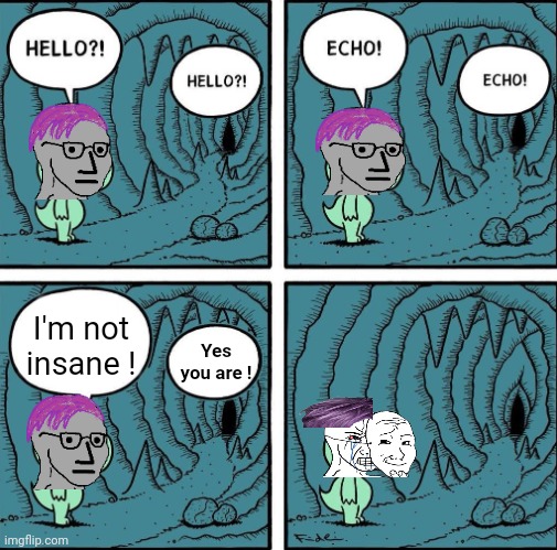 echo | I'm not insane ! Yes you are ! | image tagged in echo | made w/ Imgflip meme maker