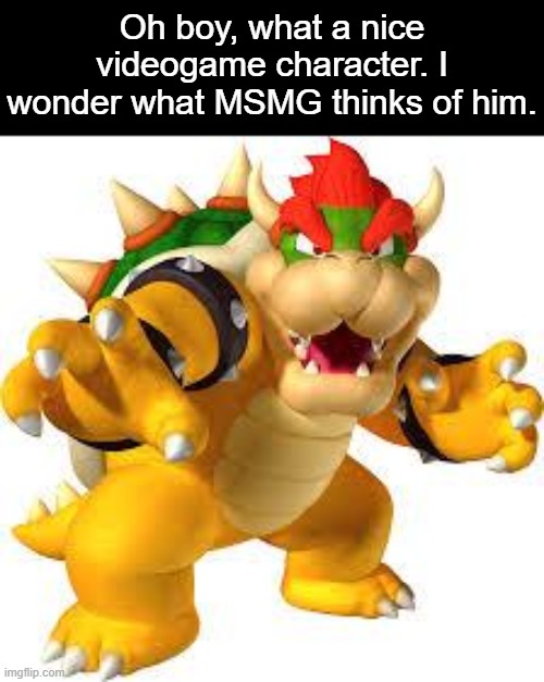 Bowser | Oh boy, what a nice videogame character. I wonder what MSMG thinks of him. | image tagged in bowser | made w/ Imgflip meme maker