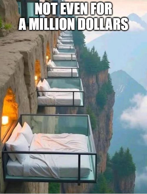 Not even for a million dollars | NOT EVEN FOR A MILLION DOLLARS | image tagged in scared,height | made w/ Imgflip meme maker