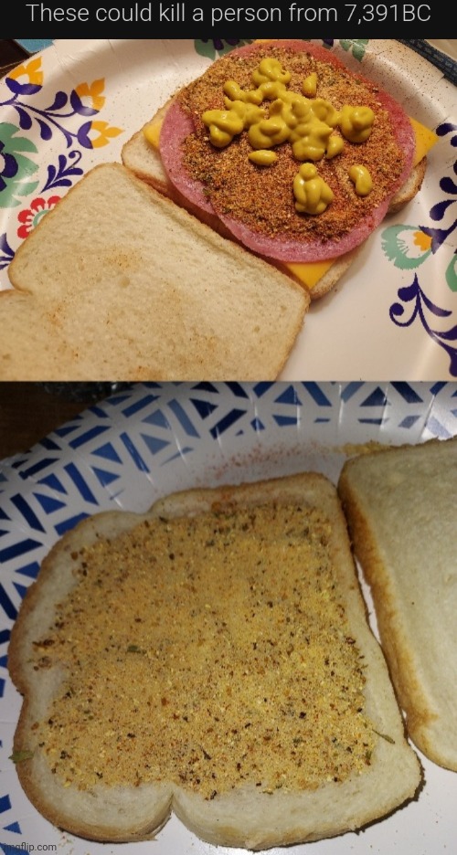 I don't make my sandwiches like this | image tagged in food | made w/ Imgflip meme maker