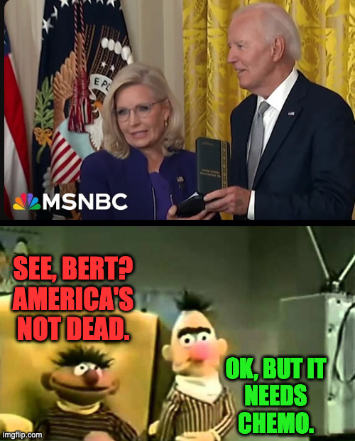 Liz Cheney awarded Presidential Citizen's Medal. | SEE, BERT?
AMERICA'S
NOT DEAD. OK, BUT IT
NEEDS
CHEMO. | image tagged in memes,america,country over party,chemo,or a silver bullet | made w/ Imgflip meme maker