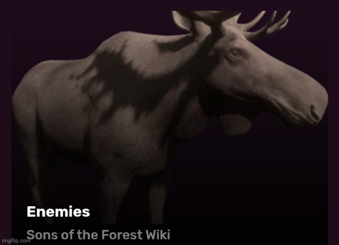 Moose | made w/ Imgflip meme maker