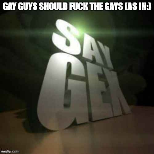 say gex | GAY GUYS SHOULD FUCK THE GAYS (AS IN:) | image tagged in say gex | made w/ Imgflip meme maker