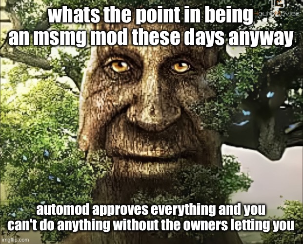 myou get the little M | whats the point in being an msmg mod these days anyway; automod approves everything and you can't do anything without the owners letting you | image tagged in tree | made w/ Imgflip meme maker