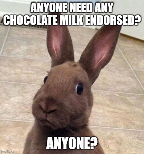 Really? Rabbit | ANYONE NEED ANY CHOCOLATE MILK ENDORSED? ANYONE? | image tagged in really rabbit,funny,job,nestle | made w/ Imgflip meme maker