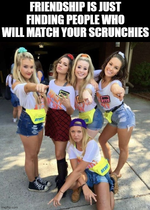 Friendship | FRIENDSHIP IS JUST FINDING PEOPLE WHO WILL MATCH YOUR SCRUNCHIES | image tagged in memes | made w/ Imgflip meme maker