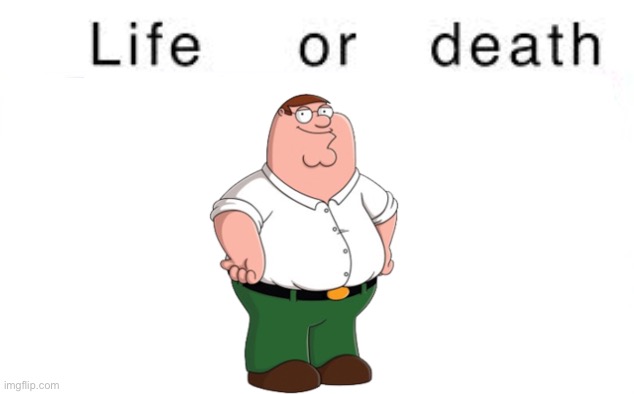 Life or death | image tagged in life or death,msmg,peter griffin | made w/ Imgflip meme maker