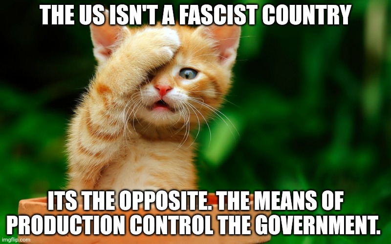 The means of production controls the government through lobbys. | THE US ISN'T A FASCIST COUNTRY; ITS THE OPPOSITE. THE MEANS OF PRODUCTION CONTROL THE GOVERNMENT. | image tagged in i just realized | made w/ Imgflip meme maker