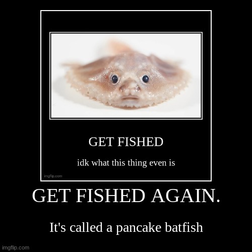 GET FISHED AGAIN. | It's called a pancake batfish | image tagged in funny,demotivationals | made w/ Imgflip demotivational maker