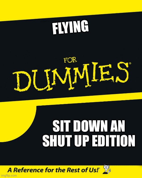 Dummy help book | FLYING; SIT DOWN AN SHUT UP EDITION | image tagged in for dummies | made w/ Imgflip meme maker