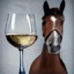 wine horse Blank Meme Template