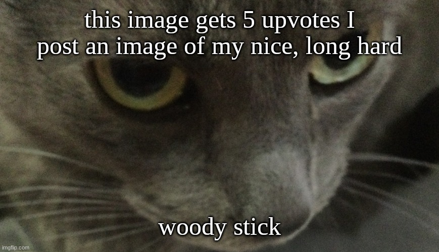 Sweetie | this image gets 5 upvotes I post an image of my nice, long hard; woody stick | image tagged in sweetie | made w/ Imgflip meme maker
